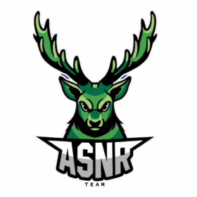Logo de ASSOCIATION SPORTIVE DES NAGEURS DU RAINCY